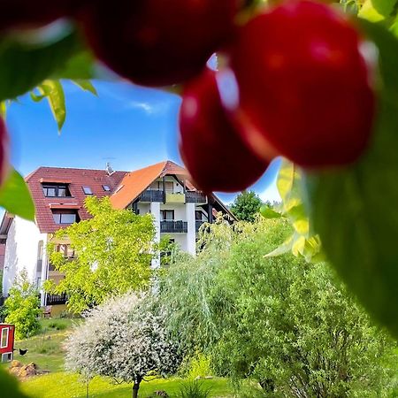 Gasthaus Hirschenstube & Gaestehaus Gehri Waldkirch Ngoại thất bức ảnh